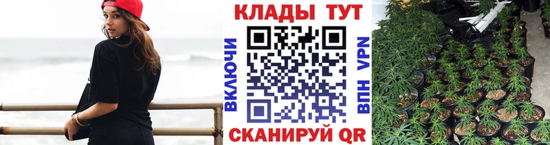 Где купить Карпинск Бошки Шишки Мефедрон APVP ГАШ Псилоцибиновые грибы КОКАИН