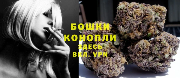 сатива Наволоки
