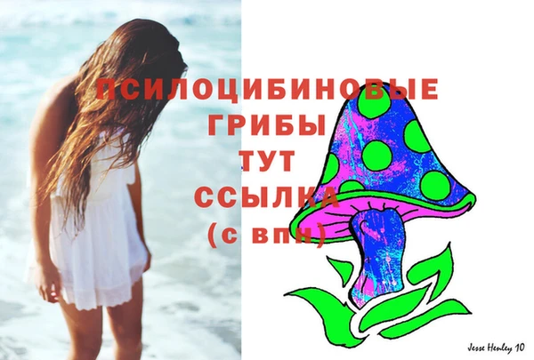 дурь Михайлов
