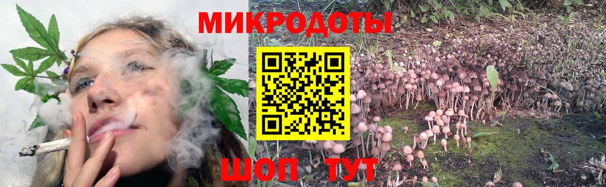 Галлюциногенные грибы Cubensis  купить наркоту  Карпинск  Вход с VPN 